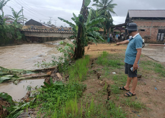 Pelapis Sungai Air Kotok Lebong Ambruk,  Rumah dan Sawah Warga Terancam