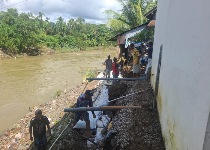 Pemdes Pangkalan Bersama Warga Goro Perbaiki Bronjong yang Amblas Terseret Arus Sungai