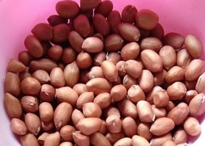 5 Khasiat Minyak Kacang Tanah yang Bikin Kaget