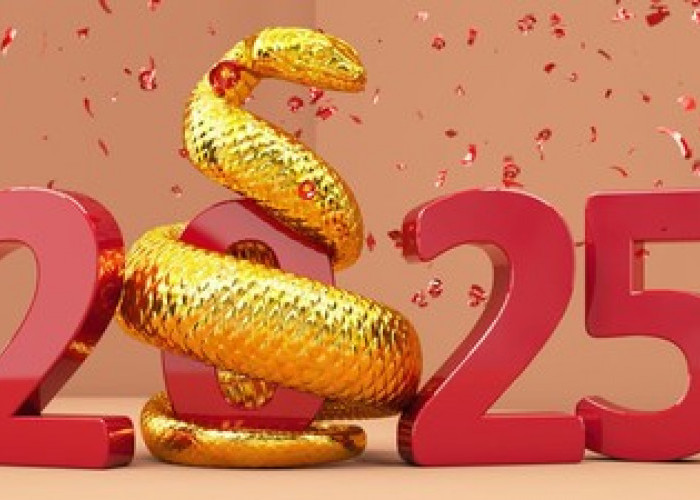 Prediksi Keuangan Shio Tikus di Tahun Ular Kayu 2025: Peluang dan Tantangan