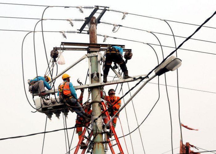 IMEW Minta Publik Tak Buru-Buru Kaitkan Kasus Blackout dengan Dugaan Korupsi Batu Bara