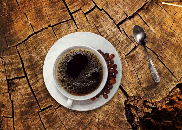 Menyusuri Sejarah kopi, dari Legenda Kambing Ethiopia hingga Brasil Negara Penghasil