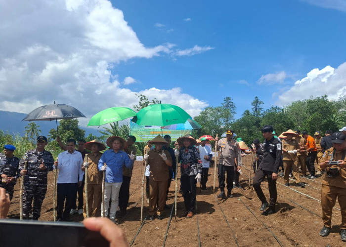 Ketua DPD RI Berharap Pertanian Lebong Pasok Kebutuhan Program Makan Bergizi Gratis