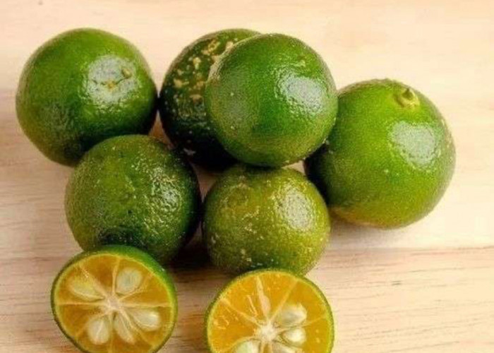 4 Makanan Ini Bantu Tingkatkan Daya Tahan Tubuh dengan Cepat