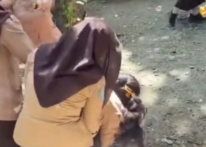 Dugaan Penganiayaan Siswa di Kota Bengkulu, Korban Alami Trauma dan Laporkan ke Polisi