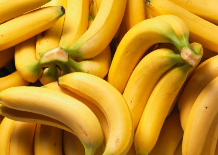4 Buah dan Sayur Kaya Serat dan Probiotik untuk Menjaga Kesehatan Usus