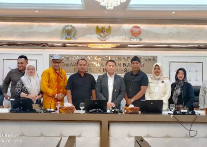 Gaji dari APBN hingga Setara PNS, Ini 4 Tuntutan Krusial PPPK dan P3K PW ke DPR dan KemenPANRB