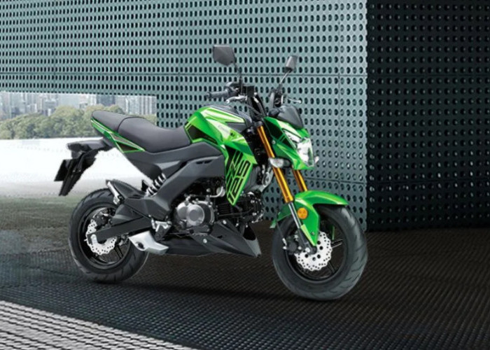 Kawasaki Z125 Pro 2027 Hadir Warna Baru, Harga Rp 69 Jutaan