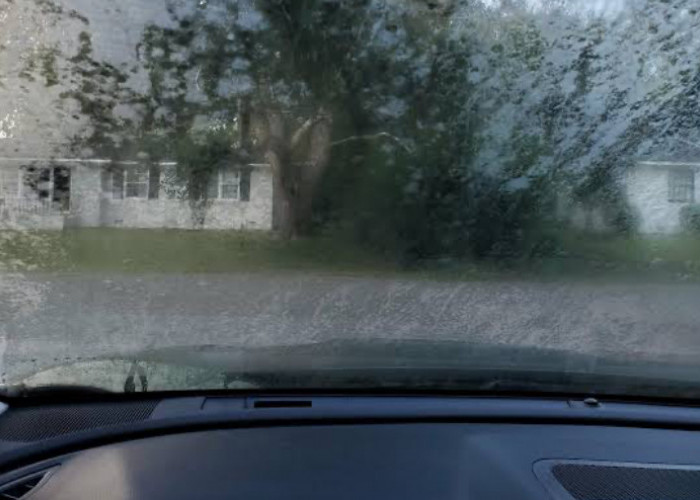 Atasi Kaca Mobil Buram Karena Jamur dengan 3 Bahan Alami Ini