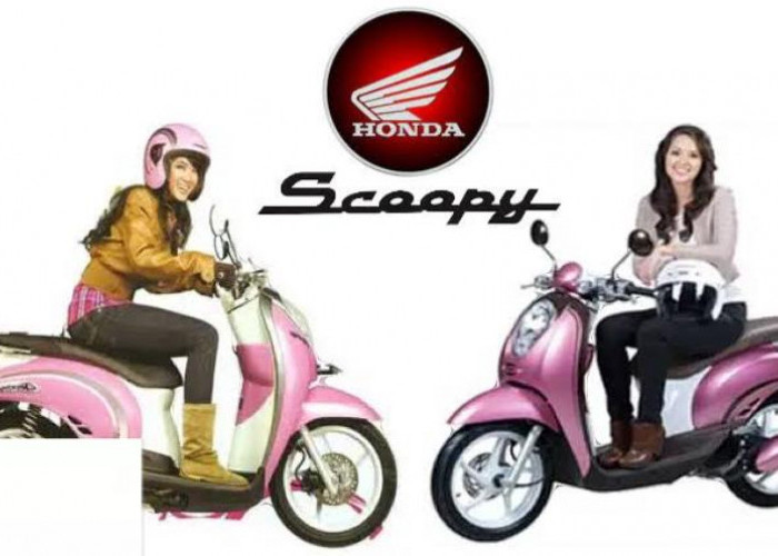 Varian Motor Honda Matic Untuk Perempuan Tampil Stylish dan Ringan, Berikut Ini Rekomendasinya