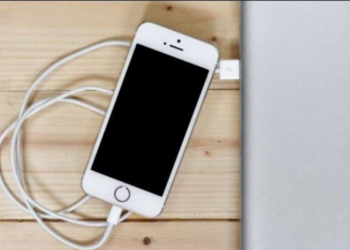 Tips Isi Baterai iPhone Yang Benar Agar Baterai Awet, Simak Langkah-Langkahnya