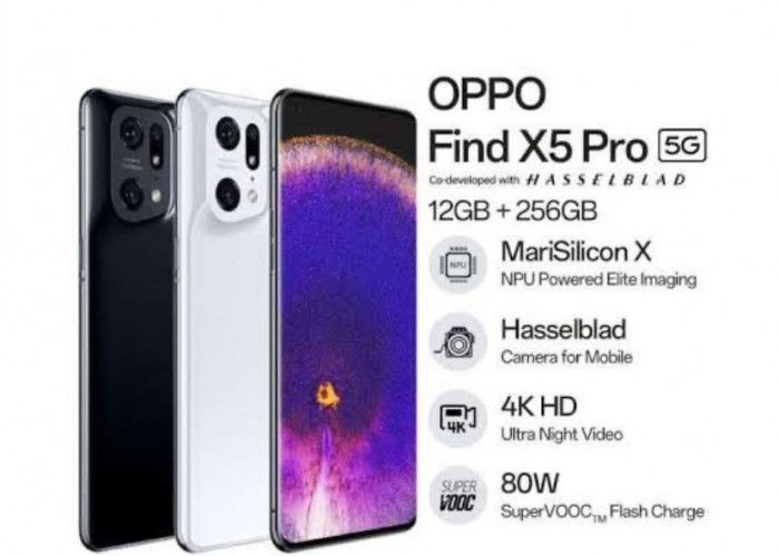 Filter Kamera Oppo Find X5 Pro Yang Dapat Memperjelas Koleksi Foto