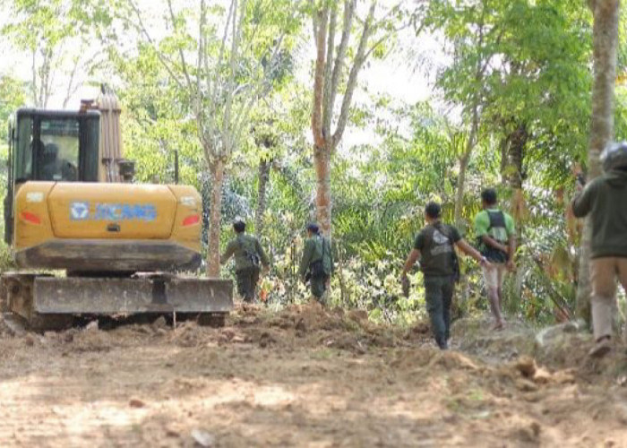 Perambahan TNBBS Terbongkar, Dua Pelaku Pembukaan Jalan Ilegal Resmi Jadi Tersangka