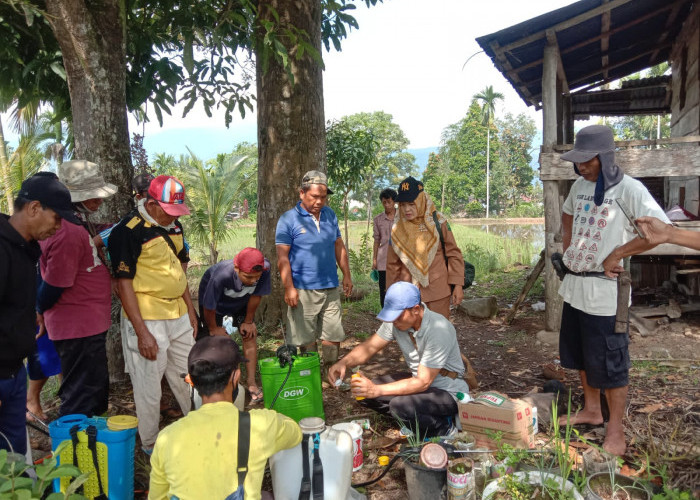 Cegah Hama Belalang, Desa di Lebong Lakukan Gerakan Pengendalian Organisme Penggangu Tumbuhan