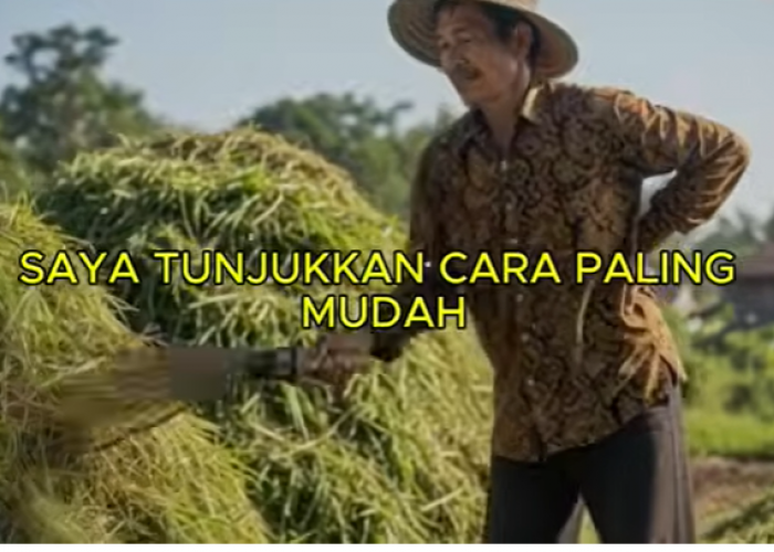 Manfaat Mengolah Rumput Menjadi Kompos Organik Berkualitas Tinggi