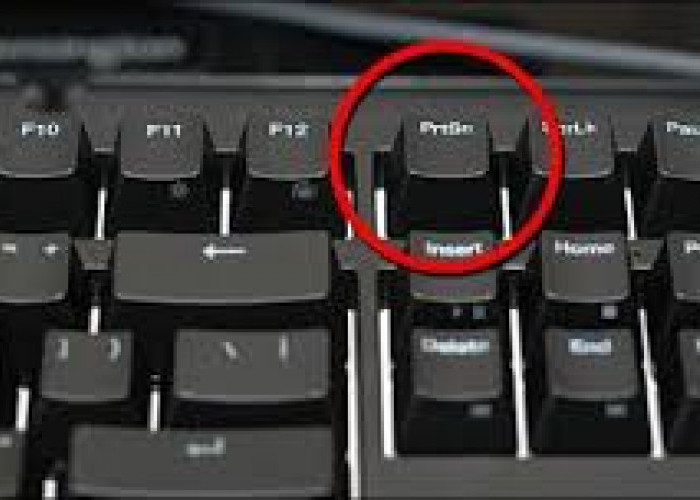 Simak Cara Screenshot di Komputer Tanpa Ribet 