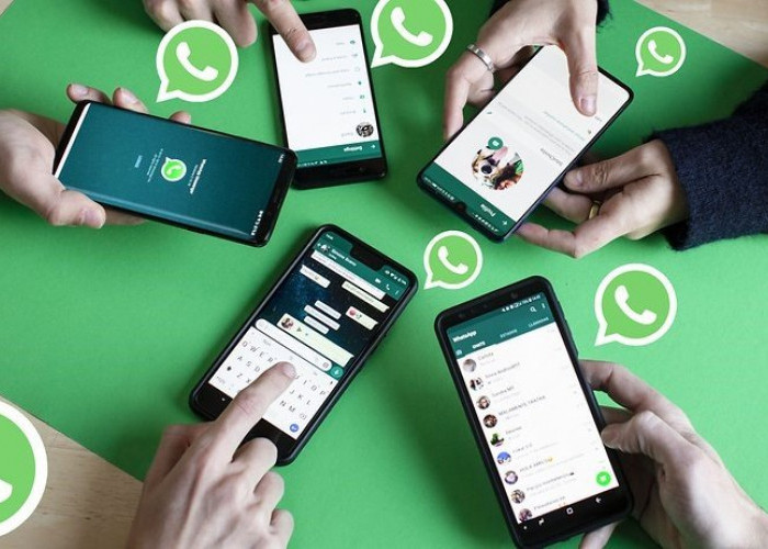 Simak ! 6 Fitur Baru yang Tersedia di WhatsApp 