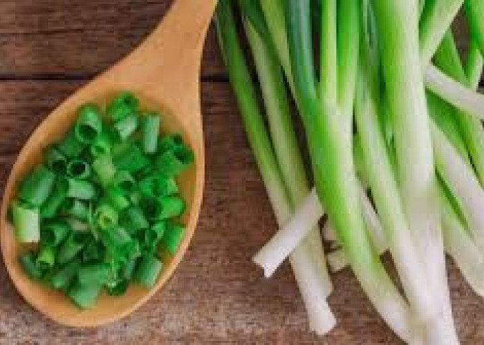 3 Manfaat Daun Bawang, Kanker Bakalan Ogah Menyerang