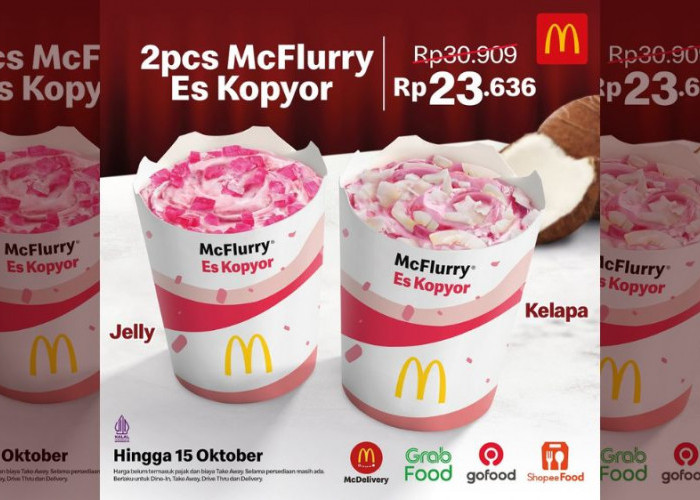 McFlurry Es Kopyor Hanya Rp23 Ribuan? Promo McDonald Terbaru Wajib Dicoba!