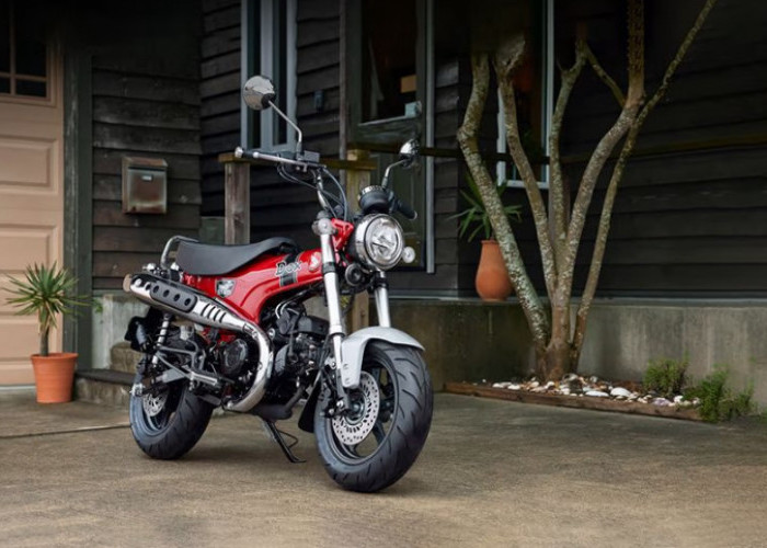 Honda ST125 Dax 2026 Hadir dengan Warna Orang