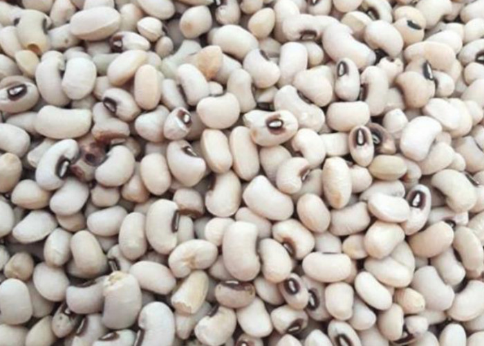 4 Jenis Kacang Terbaik untuk Jantung dan Cara Sehat Konsumsinya