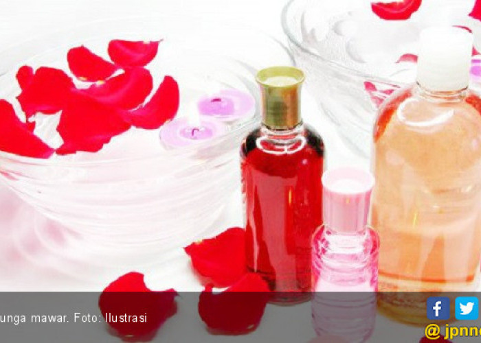 Bukan Cuma Cantik, Ini Cara Mudah Bikin Ramuan Air Mawar Campur Madu yang Kaya Manfaat