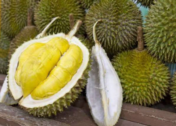 Konsumsi Durian Sering Sebabkan Sakit Kepala, Ini Penjelasan Ahli Gizi