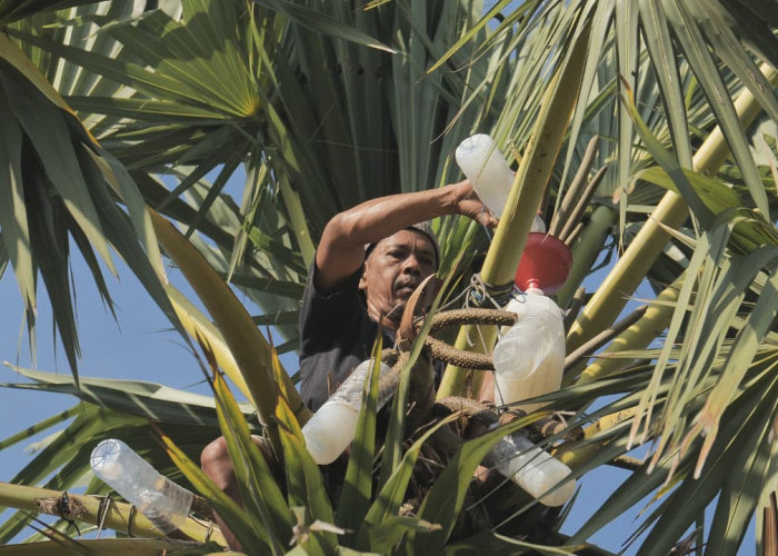 Desa Hendrosari Bangkit: Pembeli Datang, UMKM Tumbuh, Ekonomi Melaju Berkat Pemberdayaan Desa BRILiann