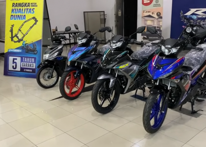 All Around View Yamaha MX King 150 2025