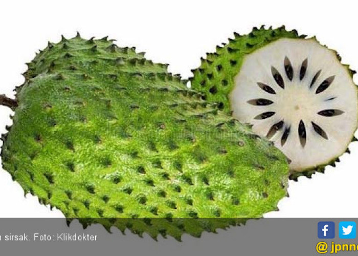 5 Manfaat Daun Sirsak Campur Madu, Ampuh Atasi Sakit Pinggang