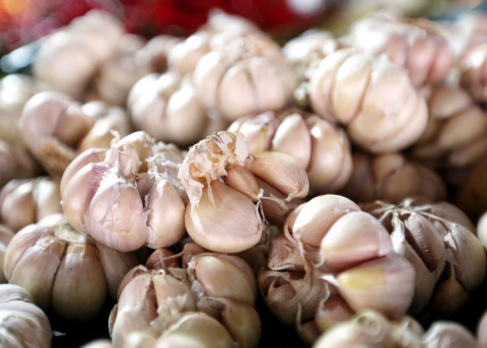 5 Herbal Alami Penurun Darah Tinggi, Mulai dari Jahe hingga Bawang Putih
