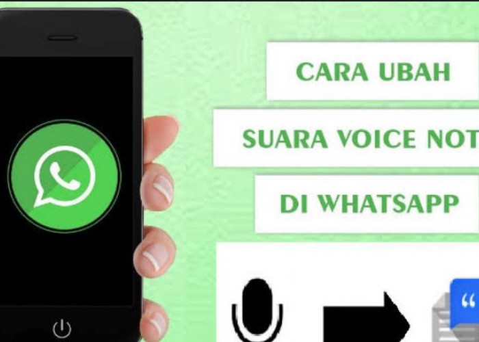 Cara Mengatur Fitur Baru WhatsApp Ubah Voice Note ke Teks