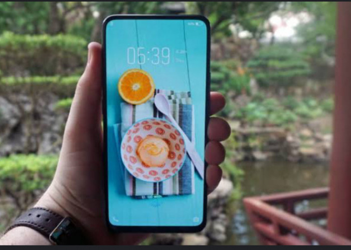 Cara Buat Tampilan Smartphone Vivo Beda, Terlihat Lebih Estetik