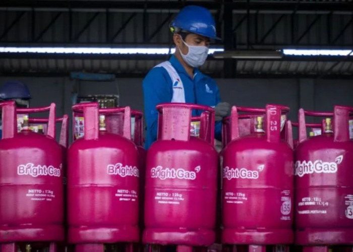 Pertamina Larang Pengguna LPG 12 Kg Pindah ke 3 Kg Usai Harga Naik