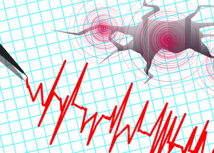 Gempa M 7,7 Guncang Flores, BMKG Keluarkan Peringatan Dini Tsunami