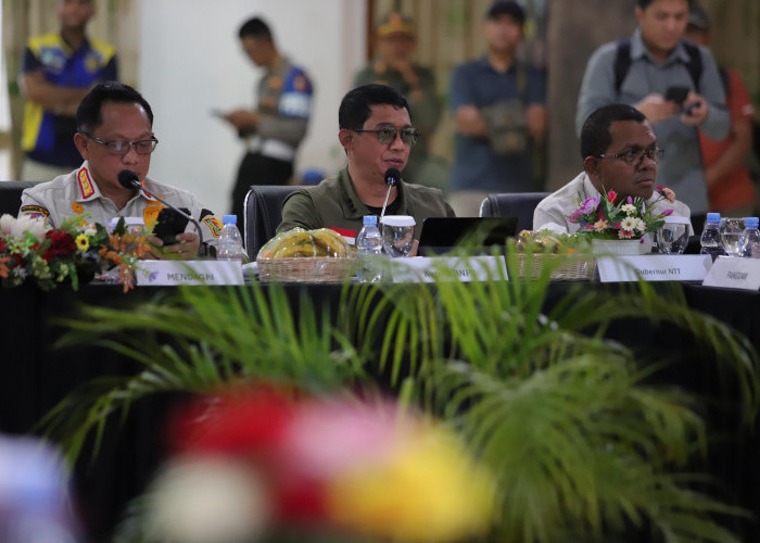 BNPB Siapkan 8 Langkah Strategis Percepat Pemulihan NTT Pascagempa 7,7