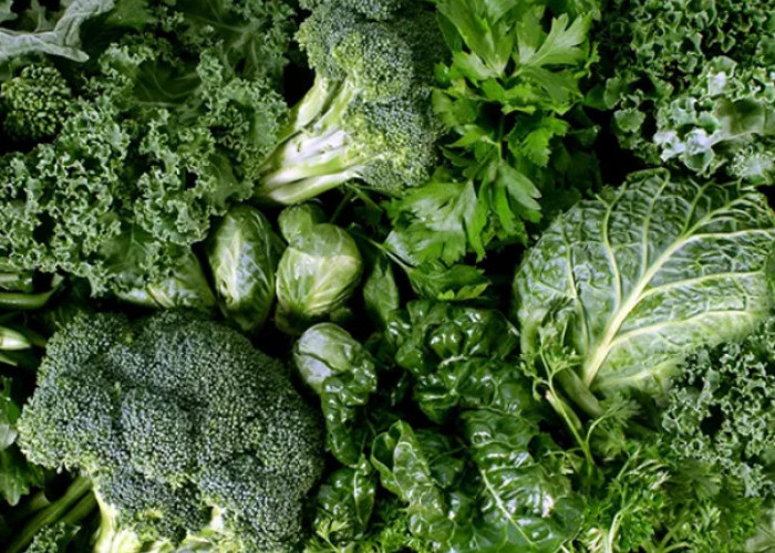 5 Makanan yang Bagus di Konsumsi Untuk Kesehatan Usus 