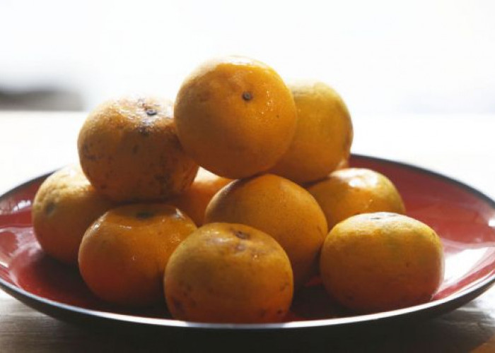 Ingin Terhindar dari Pikun? Rutin Makan 4 Jenis Makanan Ini