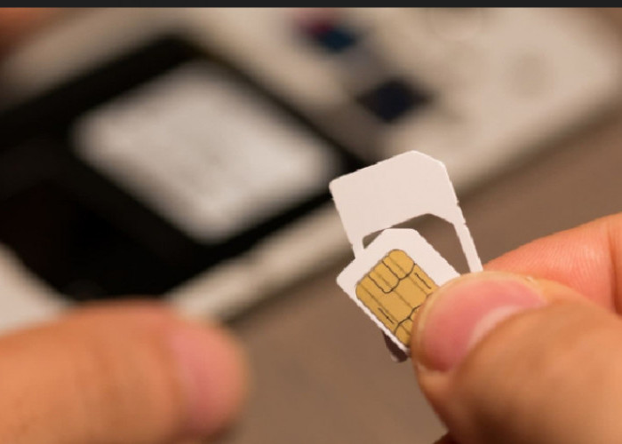 Cara Buka Blokir Kartu Telkomsel yang Hilang Jaringan