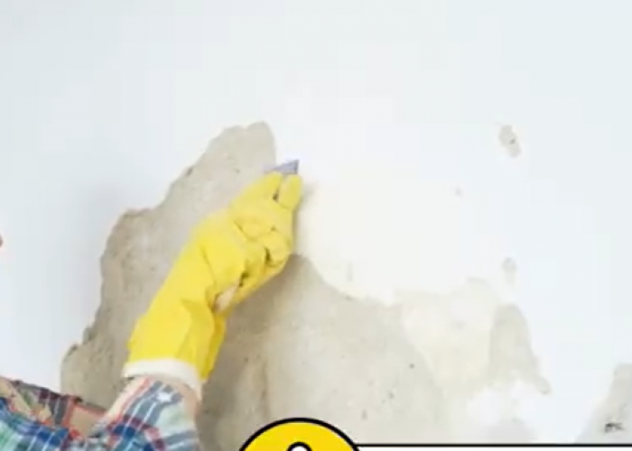 8 Rekomendasi Cat Tembok Murah dan Bagus Anti Jamur, Lembab, dan Tahan Lama