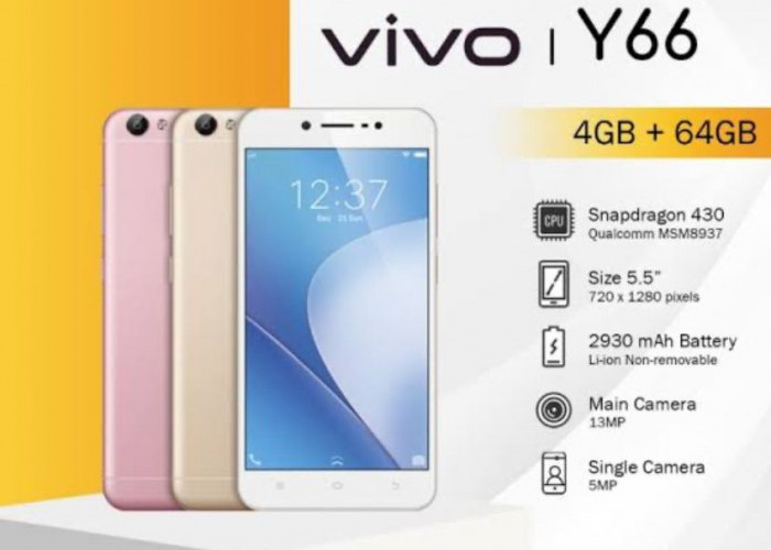 Masih Eksistensi Hingga Sekarang, Ini Keunggulan Vivo Y66 4G