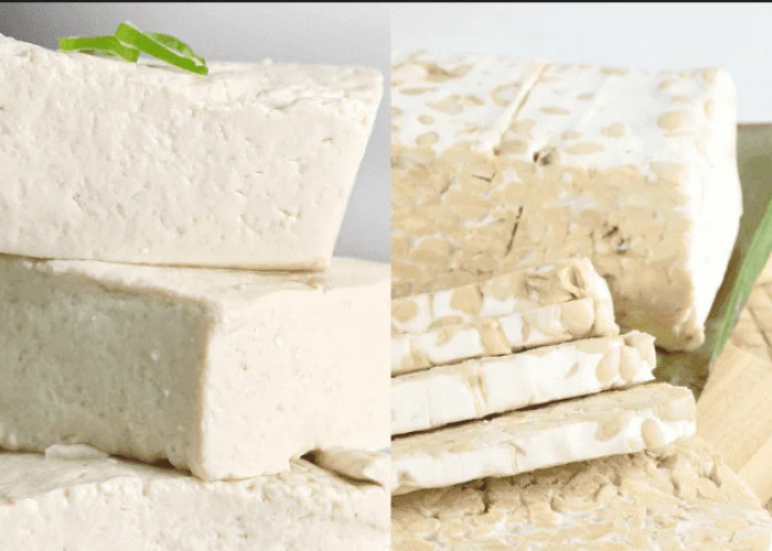 Fakta Tahu dan Tempe Protein Murah Lawan Stunting