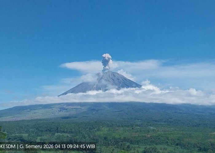 Senin Pagi, 13 April Gunung Semeru Alami Erupsi, Ketinggian Capai 1.000 M