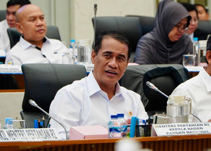 Pemerintah Salurkan 997,2 Ribu Ton Beras Mulai 17 Agustus, 33,24 Juta KPM Jadi Penerima