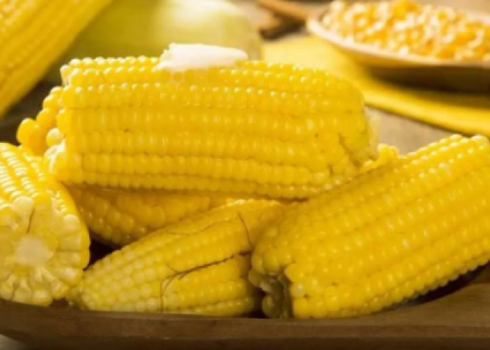  Manfaat Jagung bagi Kesehatan, Bantu Jaga Pencernaan hingga Daya Tahan Tubuh