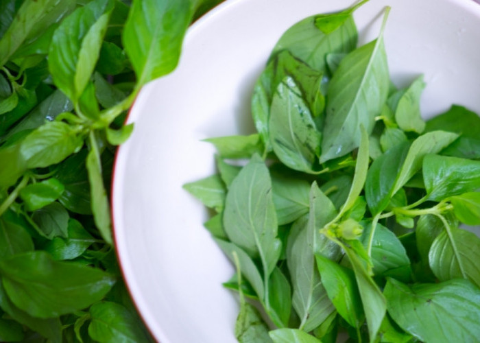  4 Ramuan Herbal untuk Promil Cepat Hamil, Terbukti Secara Ilmiah
