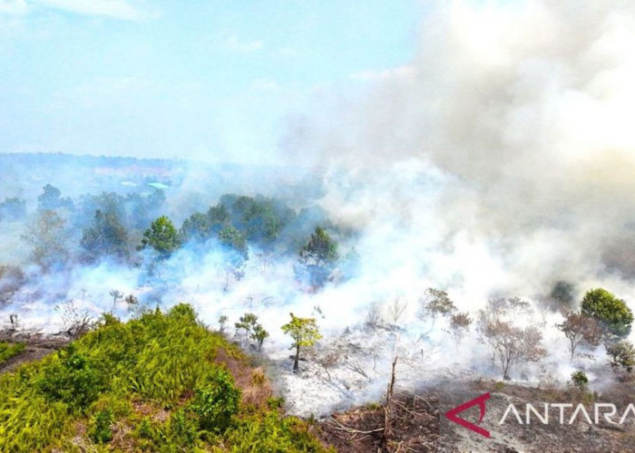 Prabowo Instruksikan Stop Pembakaran Hutan, Aturan Kearifan Lokal Resmi Dihentikan