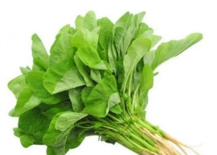 5 Makanan Kaya Magnesium untuk Meningkatkan Konsentrasi dengan Cepat