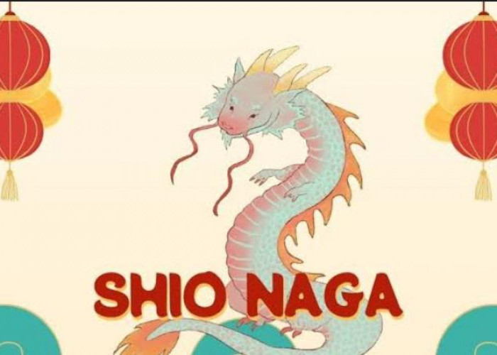 Prediksi Keberuntungan Shio Naga Tahun 2025 Bagi Anak Perempuan 