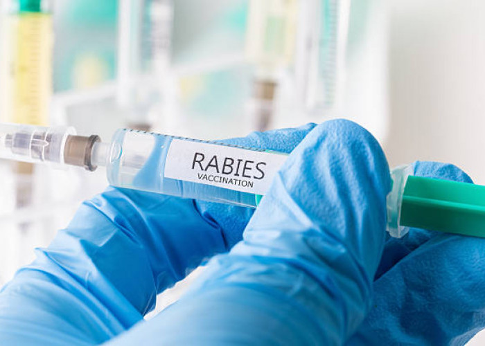 Sejak Januari - April 2026,  Sudah 60 Kasus Gigitan Hewan Penular Rabies di Lebong